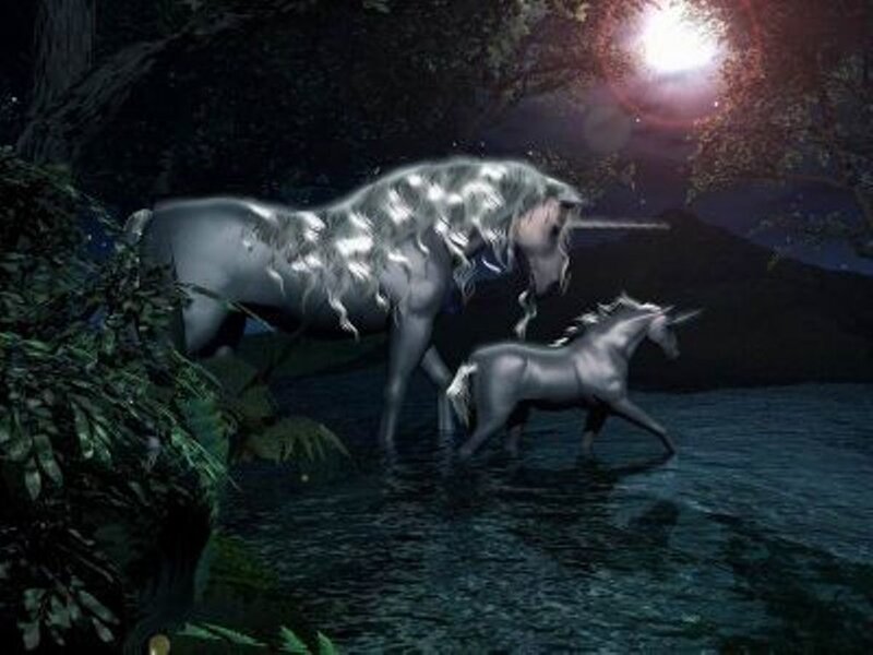 Unicorns in Water — Silver