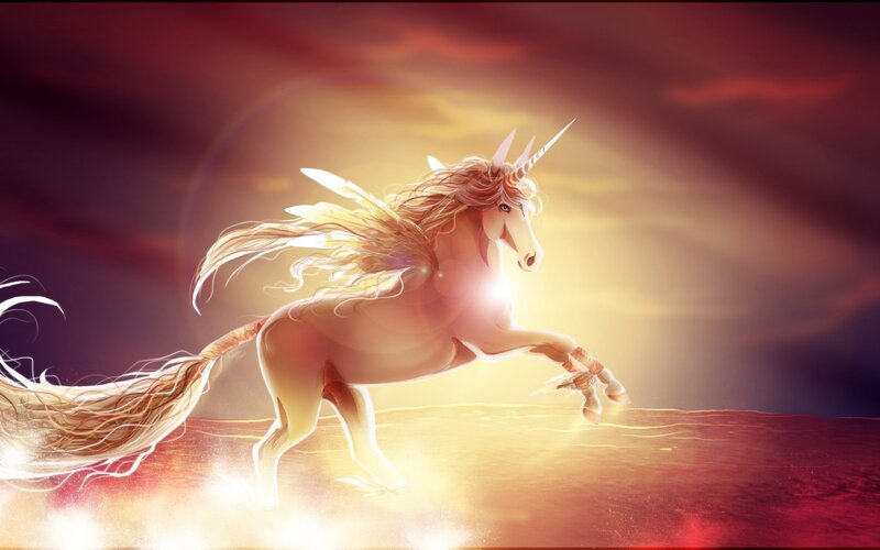 Unicorns Running at Sunset