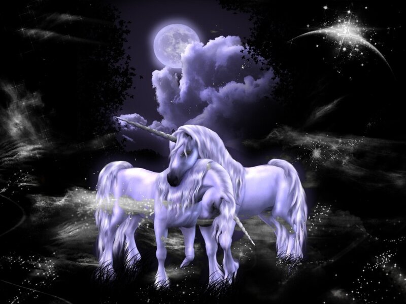 Unicorns under a full moon