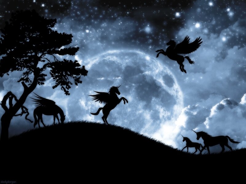 Unicorns under the moon