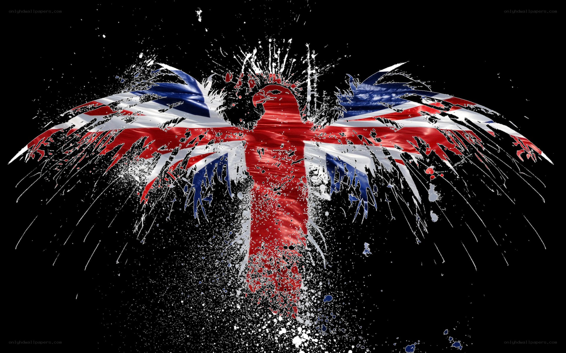 Union Jack eagle splatter