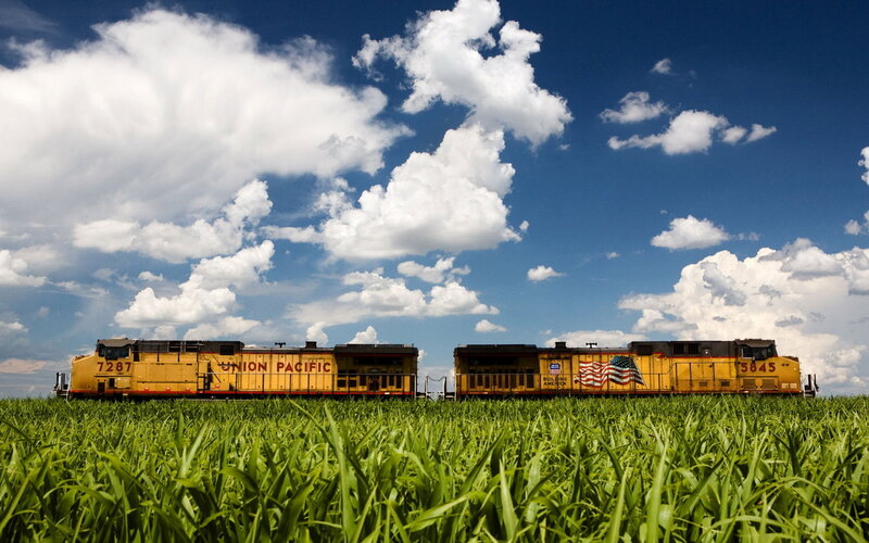Union Pacific trains in a field