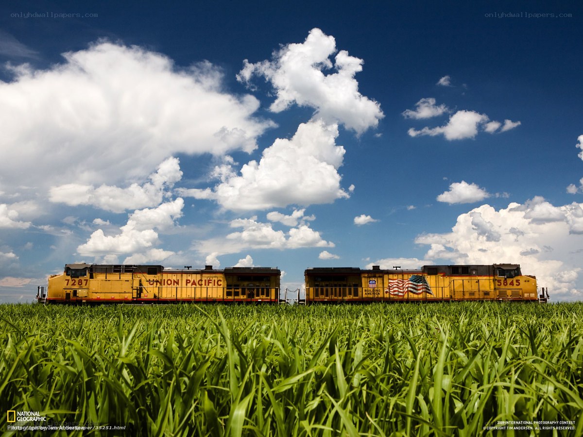 Union Pacific trains in a field