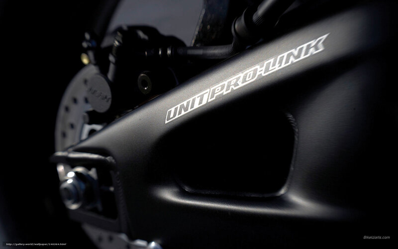 Unit Pro-Link motorcycle component