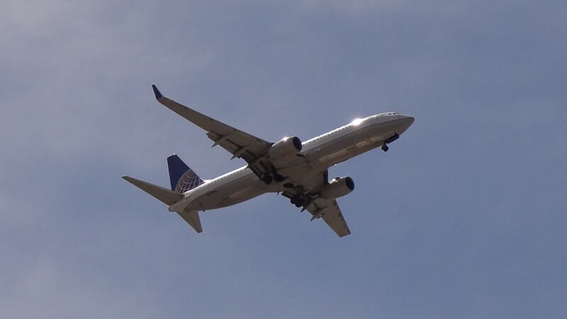 United Airlines Airplane — Blue, Calm, Afternoon, Photograph