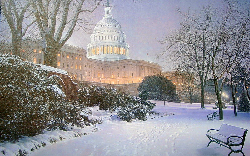 United States Capitol Building — White, Serene, Winter