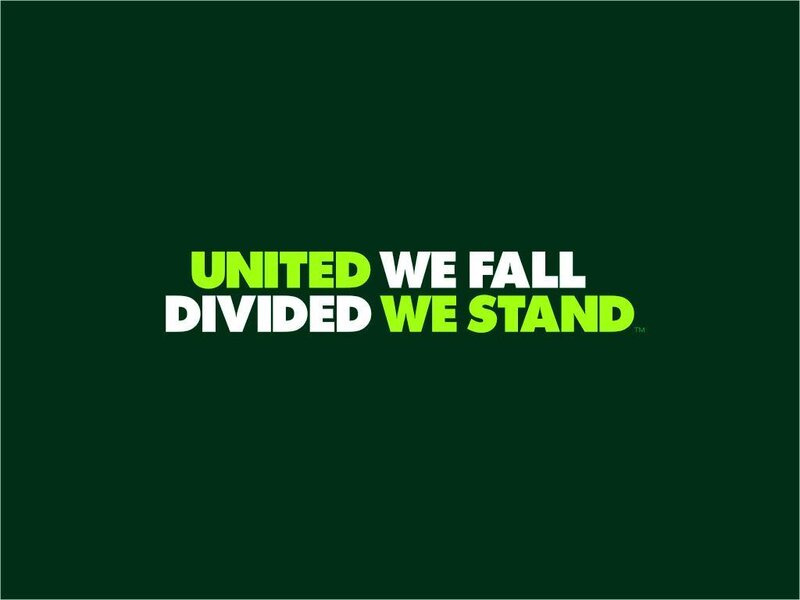 United We Fall Divided We Stand