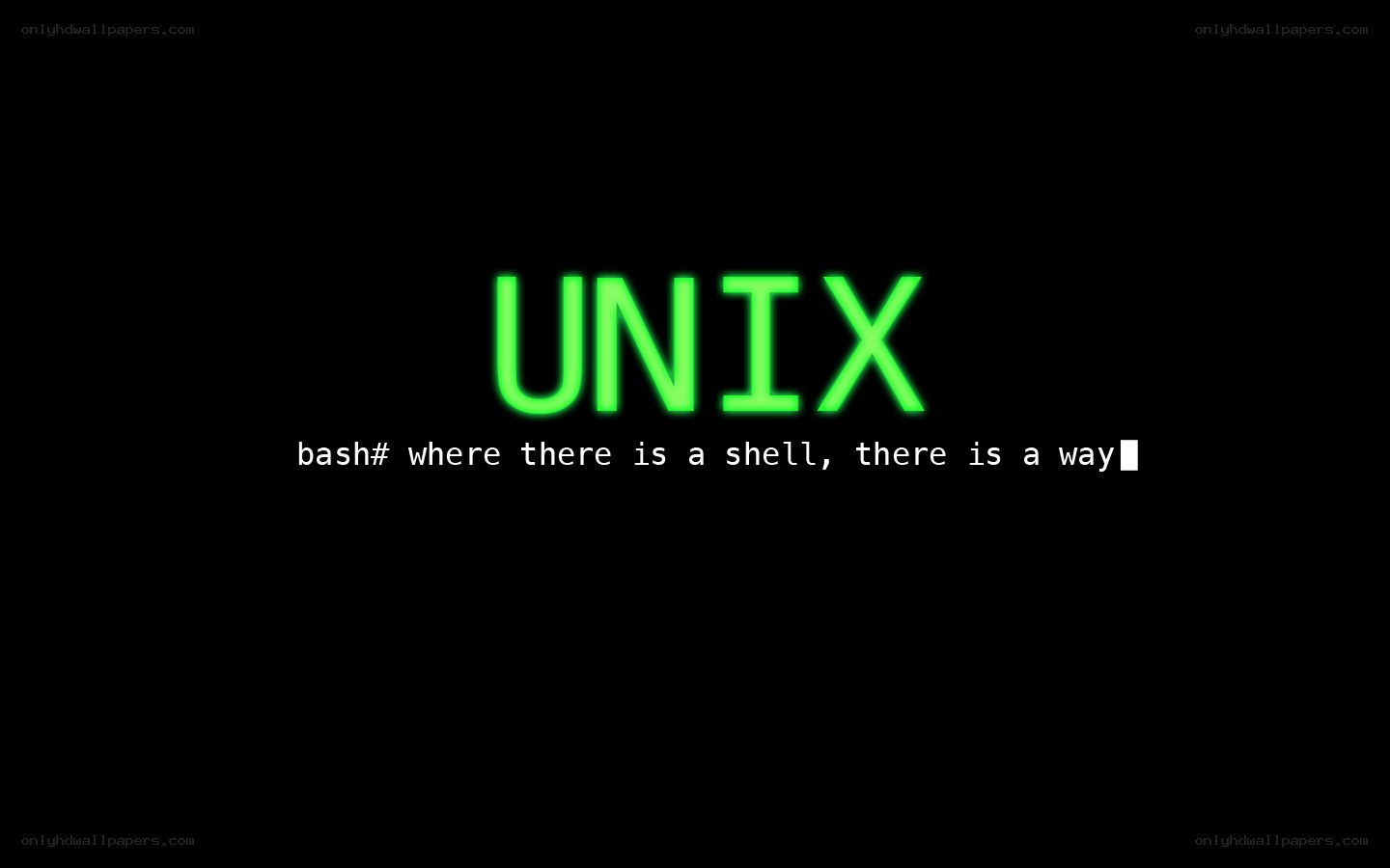 Unix shell prompt display