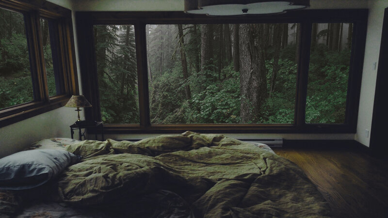 Unmade Bed in Forest Room