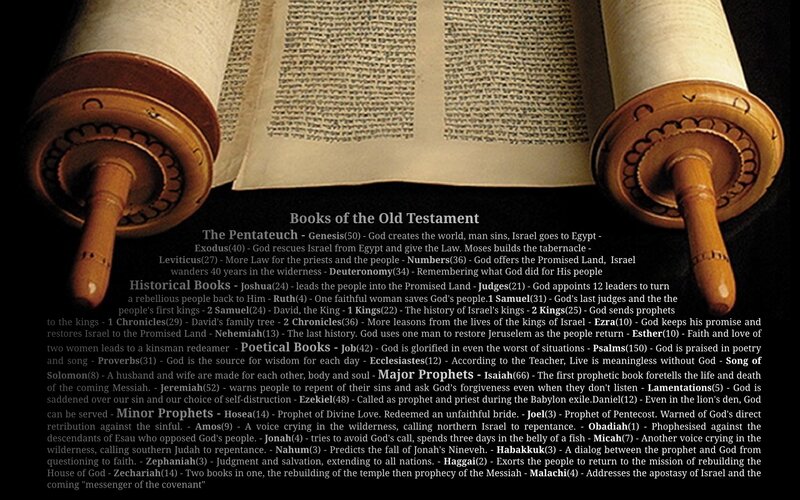 Unrolled Torah Scroll