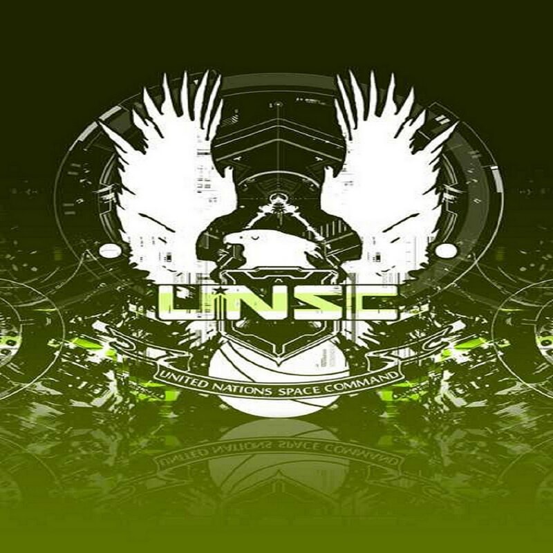 UNSC Logo with Eagle