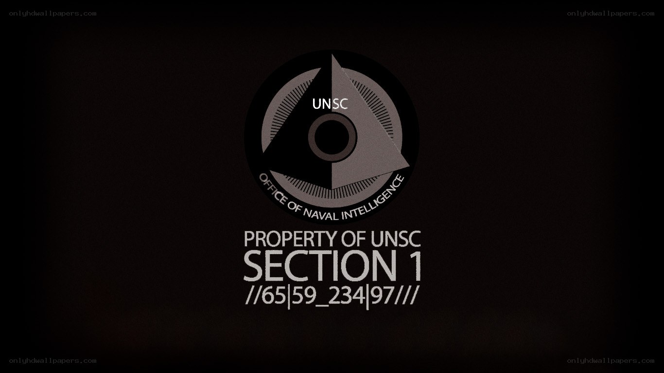 UNSC Section 1 logo