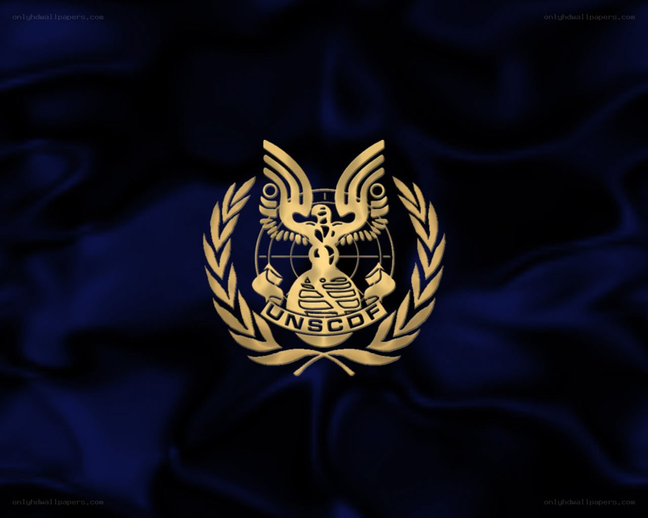 UNSCDF emblem on blue fabric