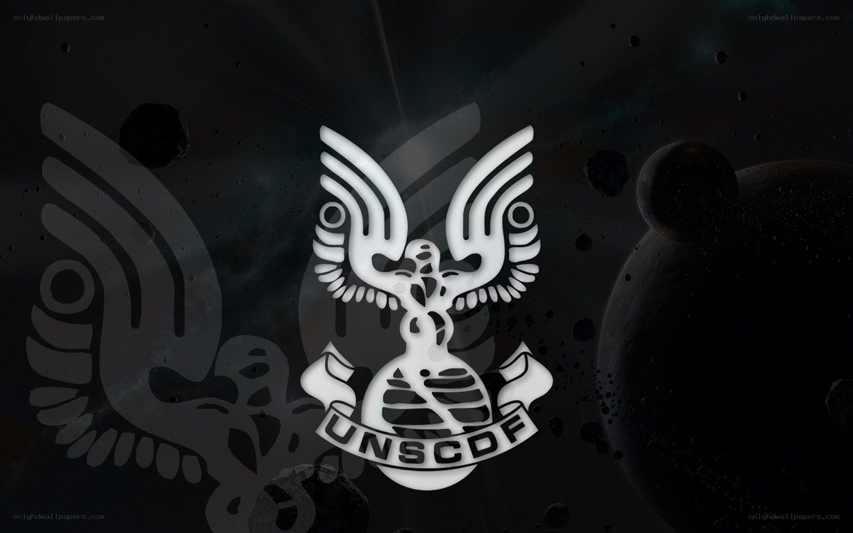 UNSCDF logo in space