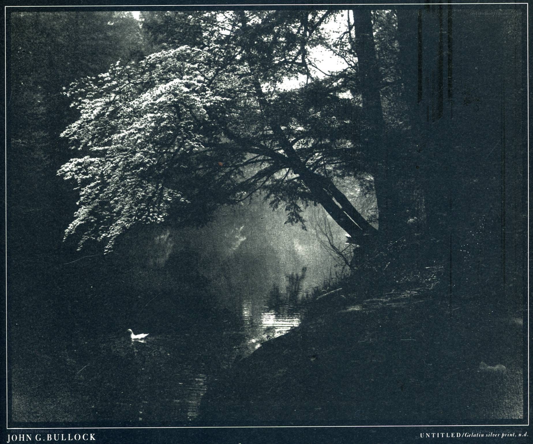 Untitled gelatin silver print