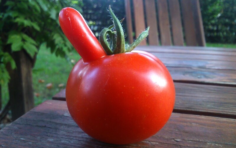 Unusual Tomato with Protrusion