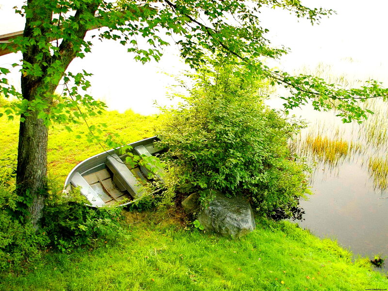 Upturned Boat on Shore