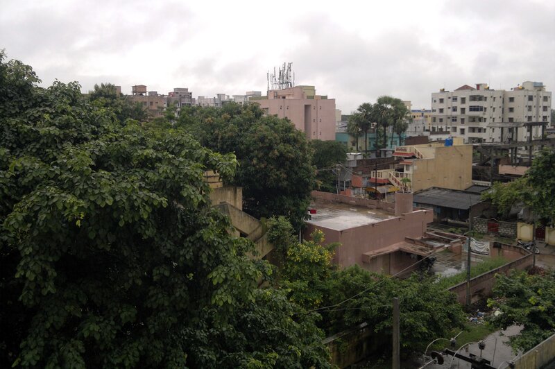 Urban Buildings and Trees