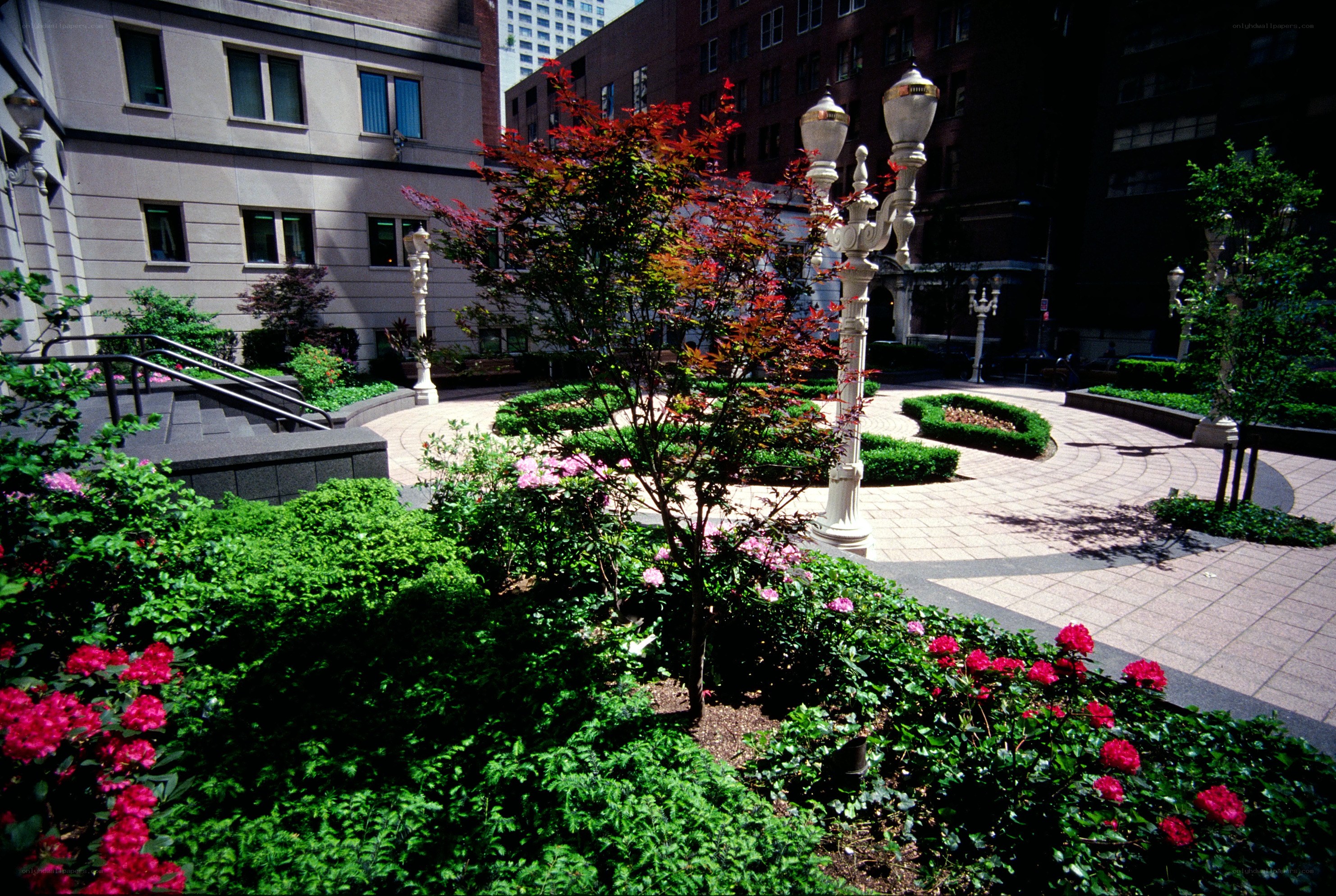 Urban garden courtyard