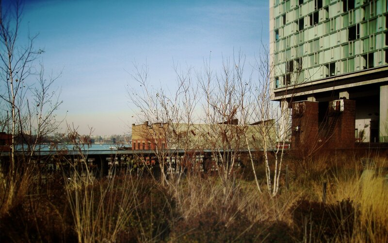 Urban park with city view