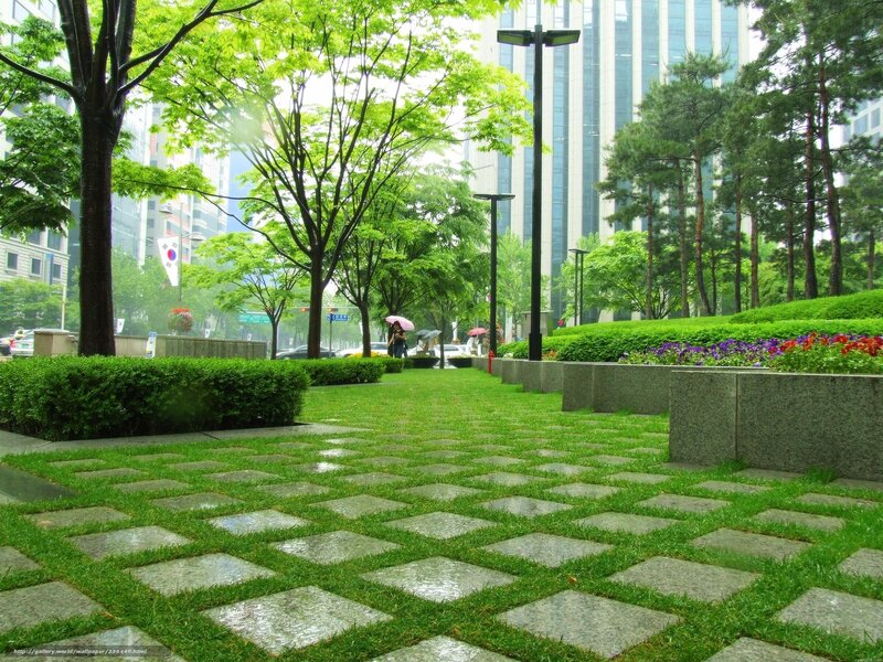Urban park with green lawn