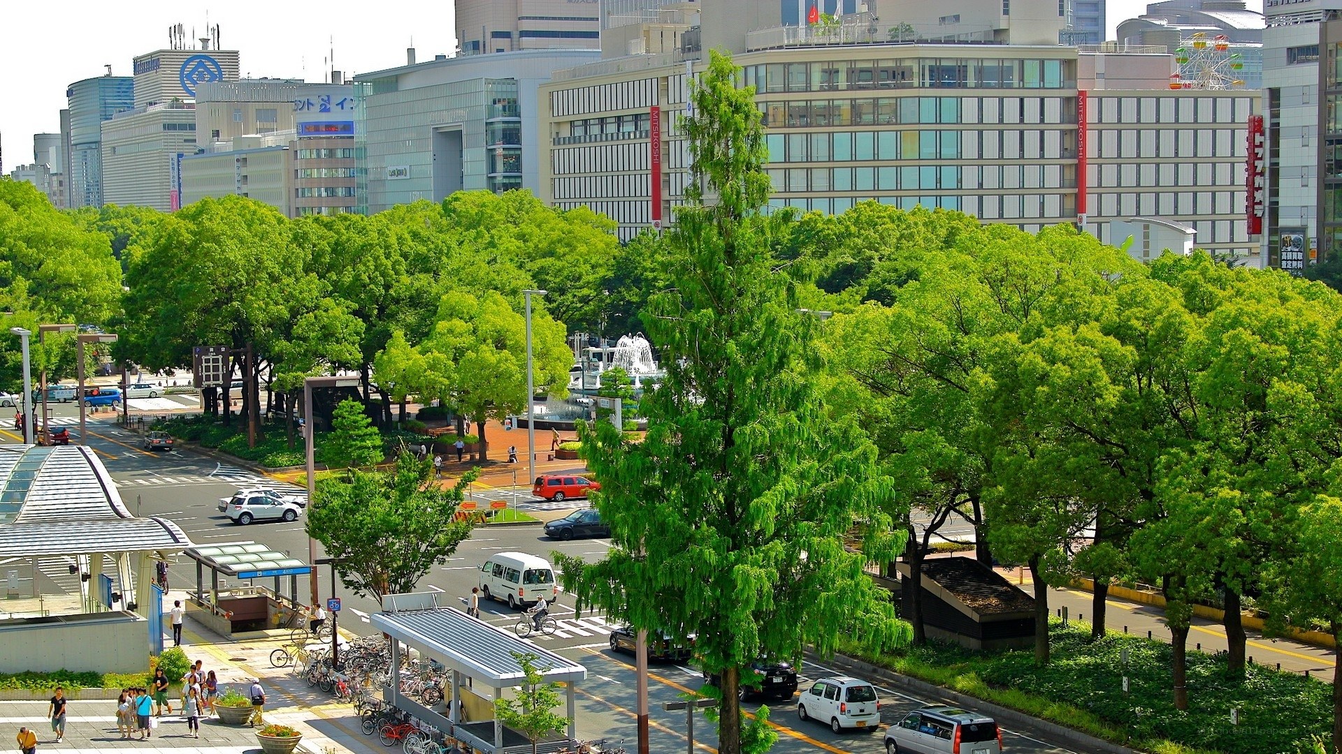 Urban park with modern buildings
