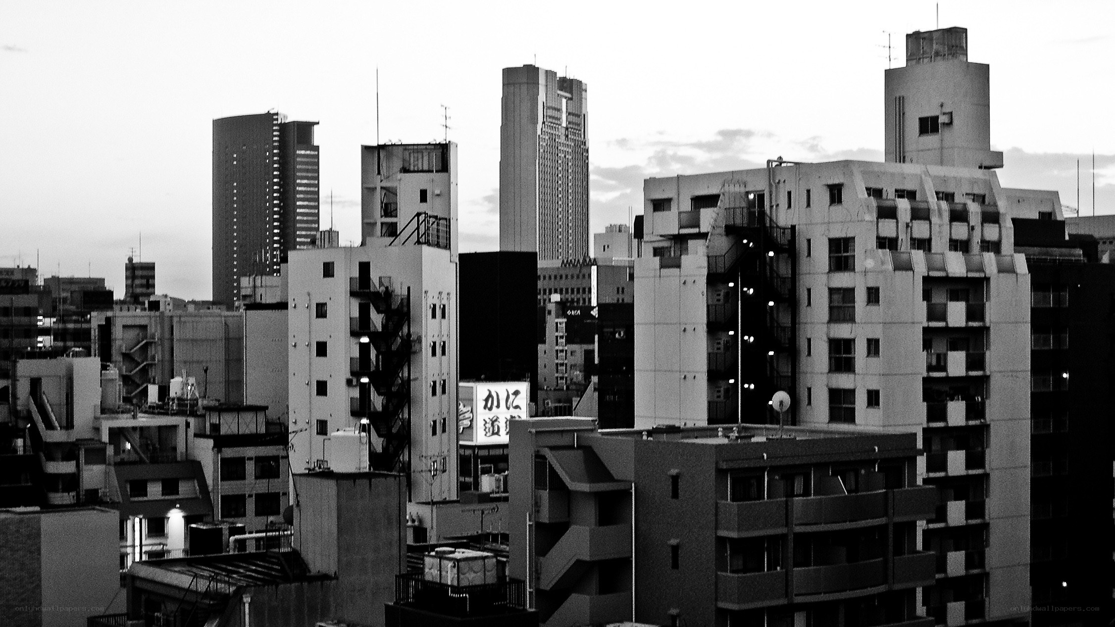 urban skyline at dusk