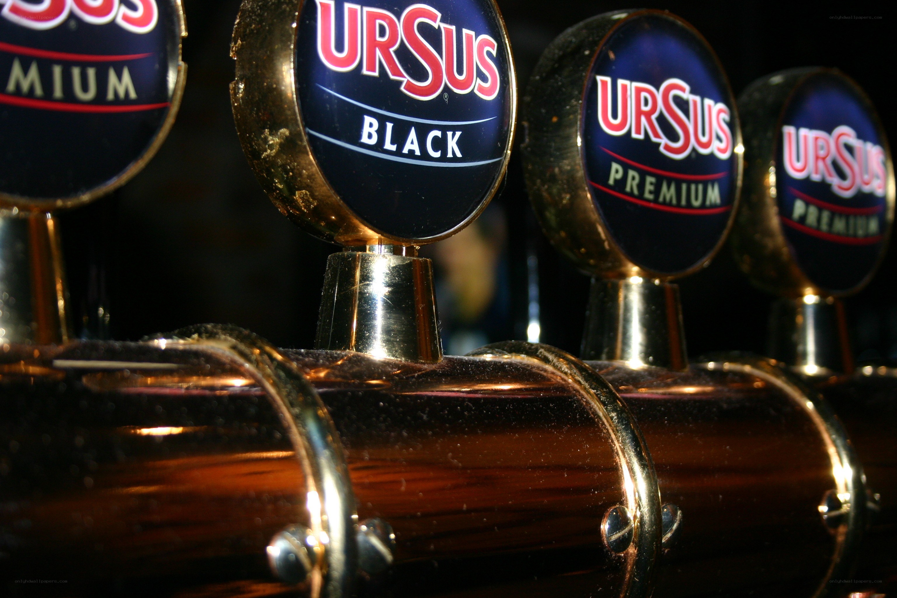 Ursus beer taps in a bar