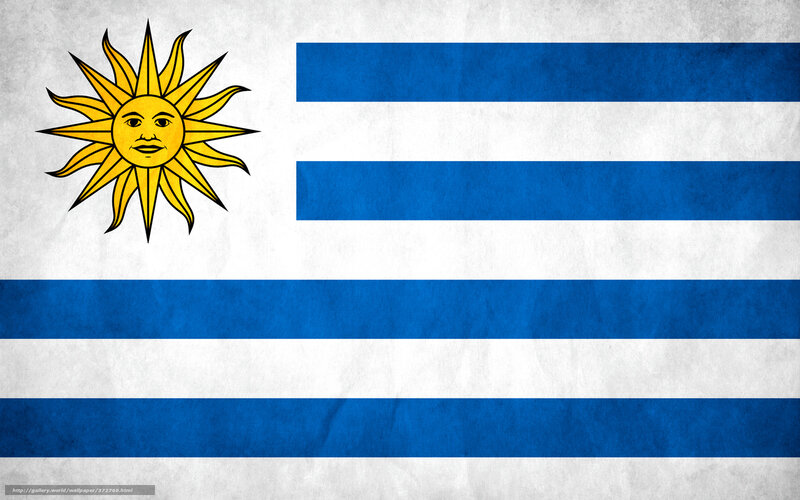 Uruguayan Flag