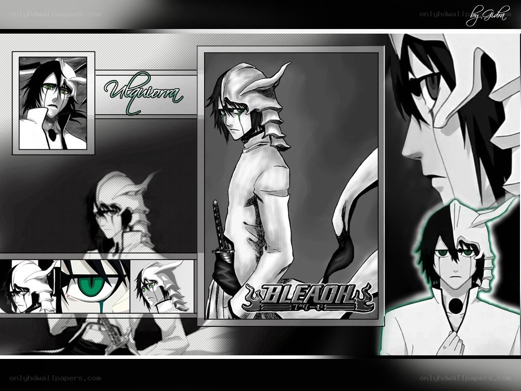 Uryu Ishida collage