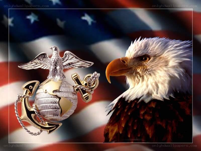 US Marine Corps emblem and bald eagle