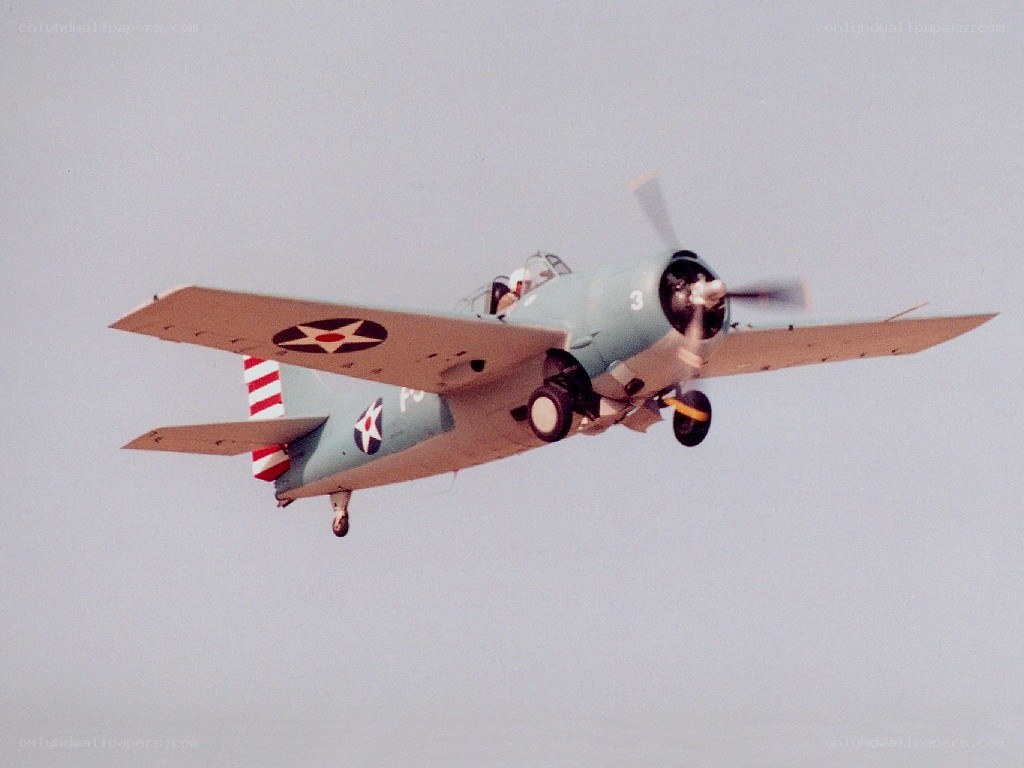 US Navy aircraft in flight