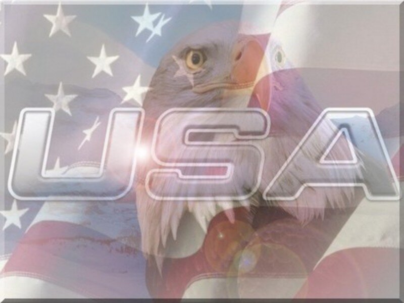 USA patriotic graphic with eagle