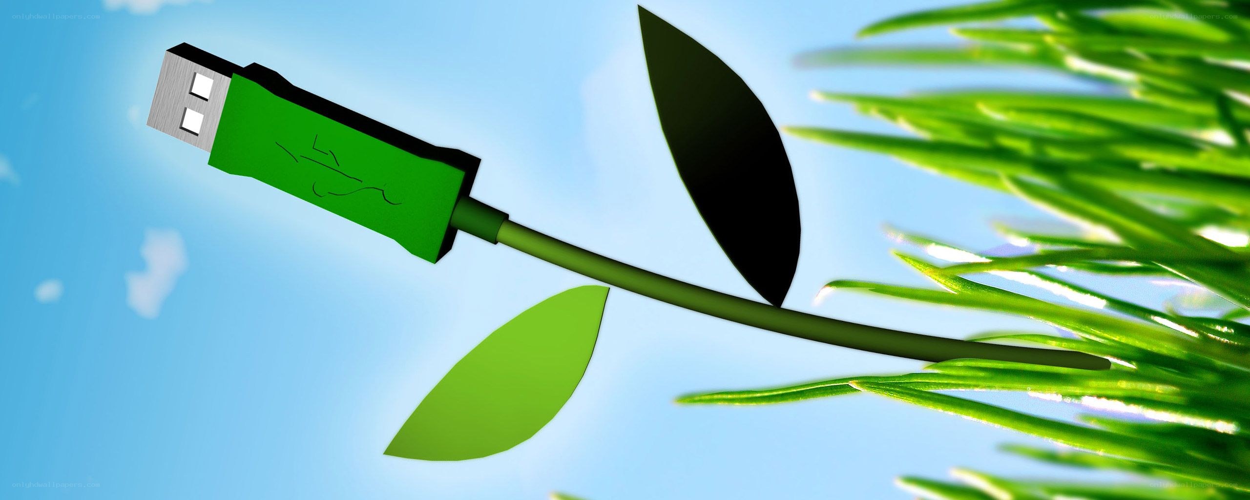 USB cable as a plant