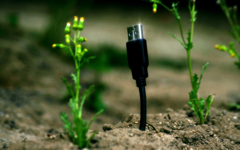 Usb Cable in Soil — Black, Natural