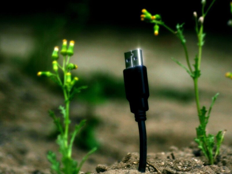Usb Cable in Soil — Black