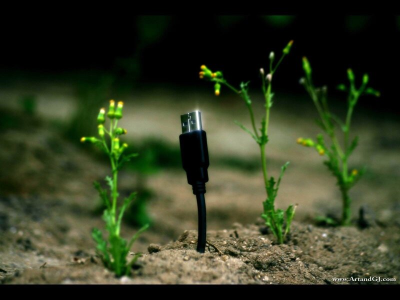 USB cable in soil with plants