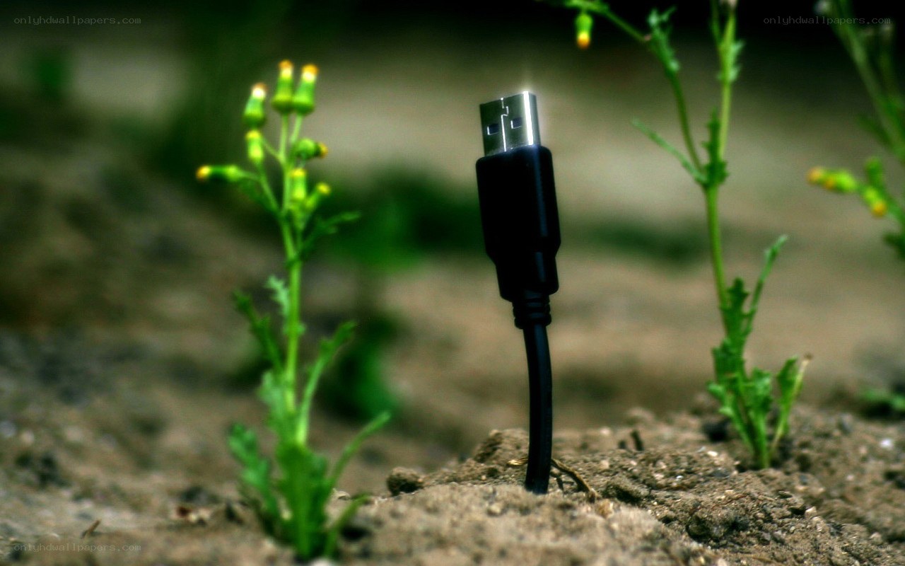 USB cable in soil