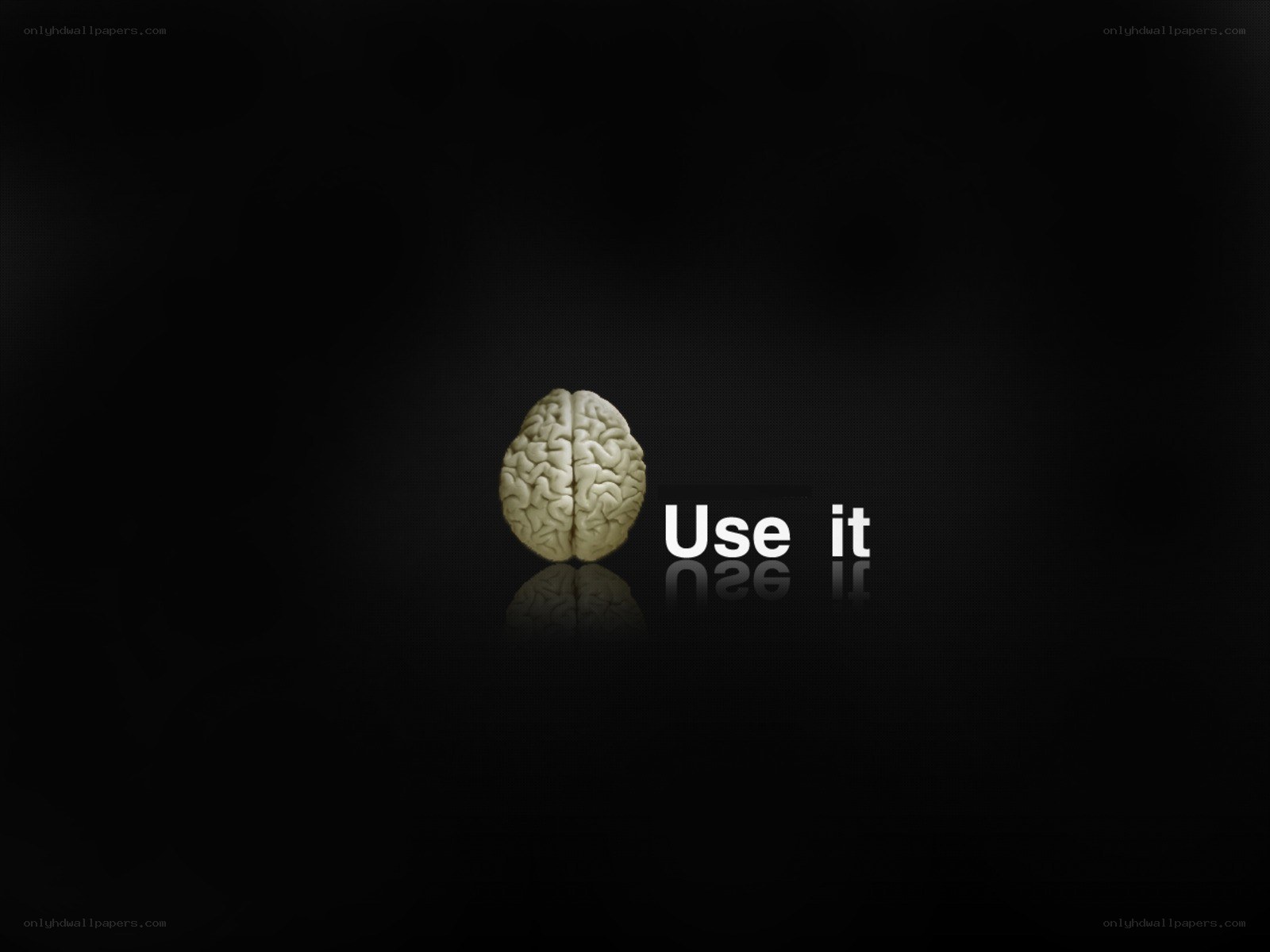 Use your brain
