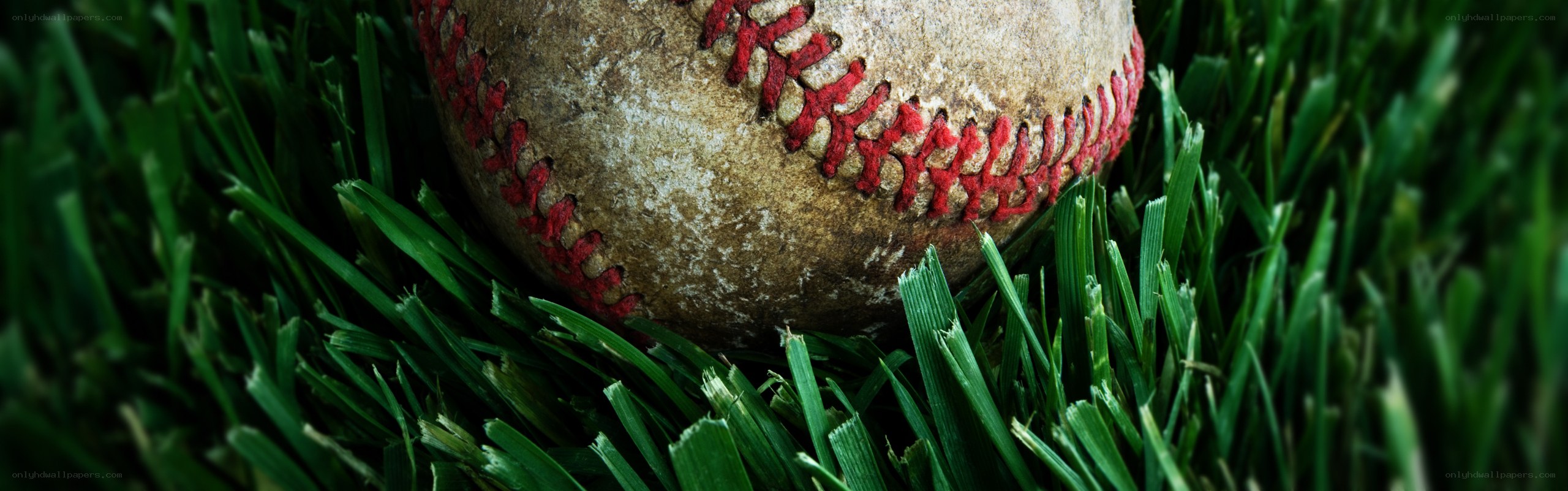used baseball on grass