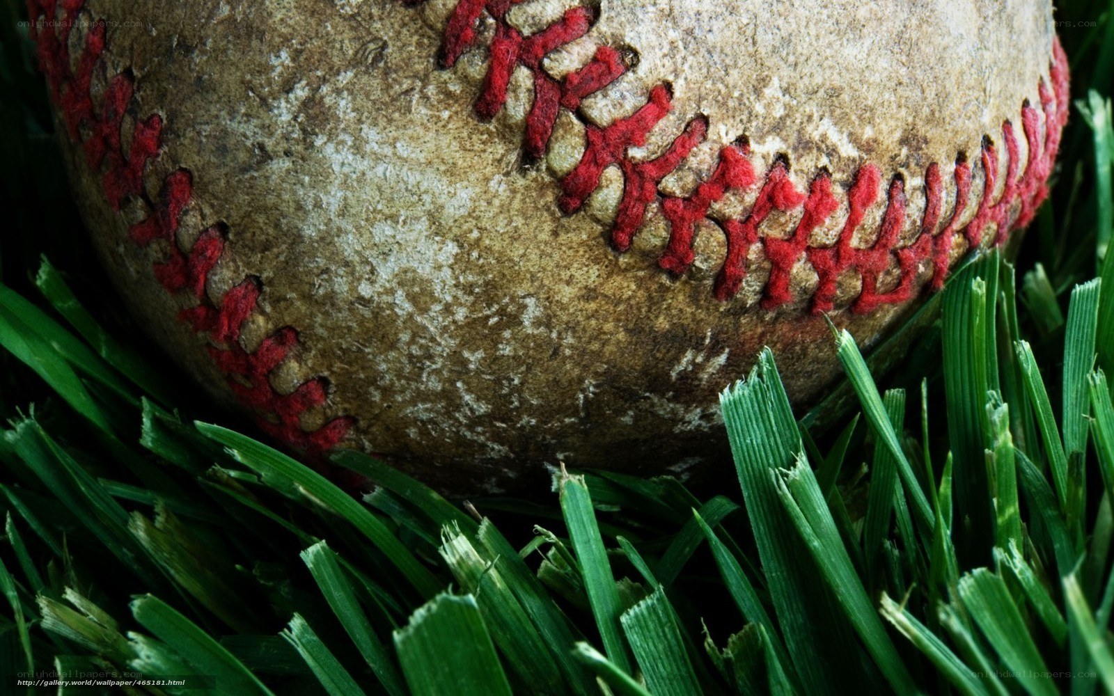 used baseball on grass
