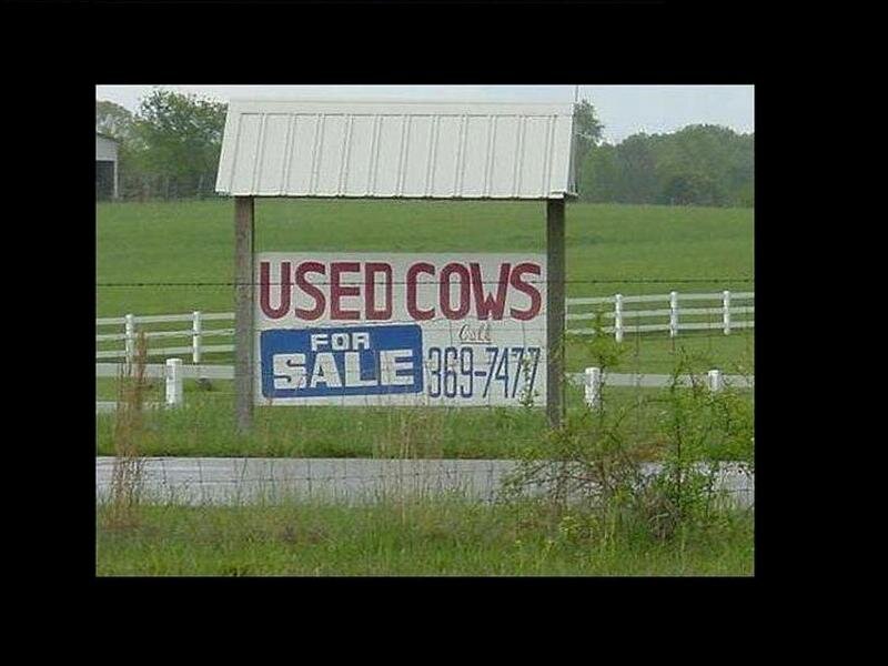 Used Cows Sign