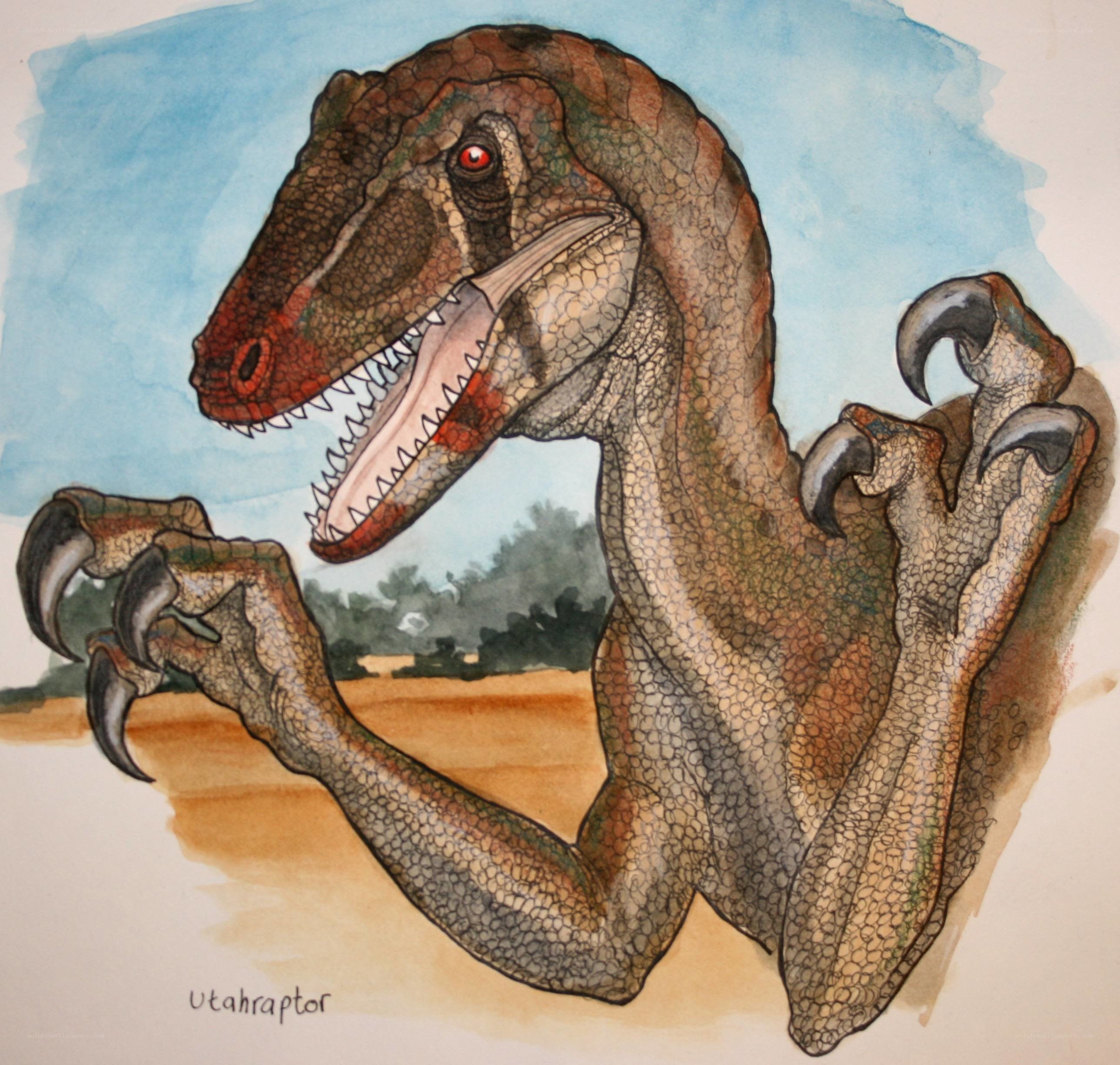 Utahraptor dinosaur illustration