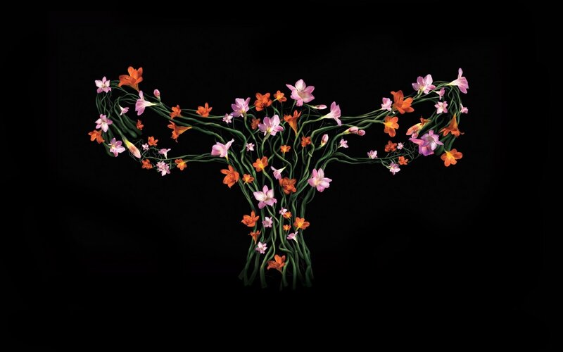 Uterus Made of Flowers — Pink, Dramatic