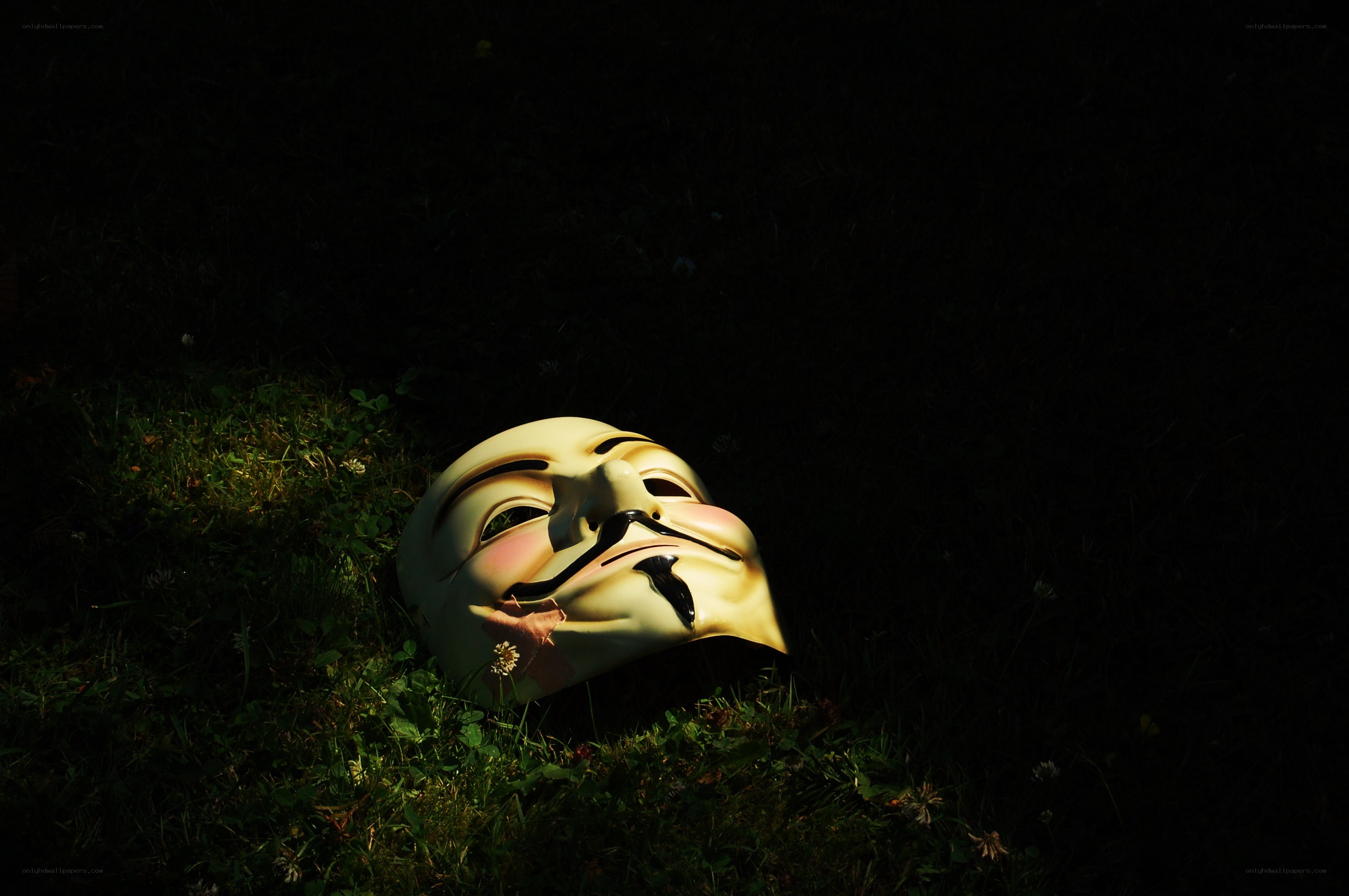 V for Vendetta mask on grass