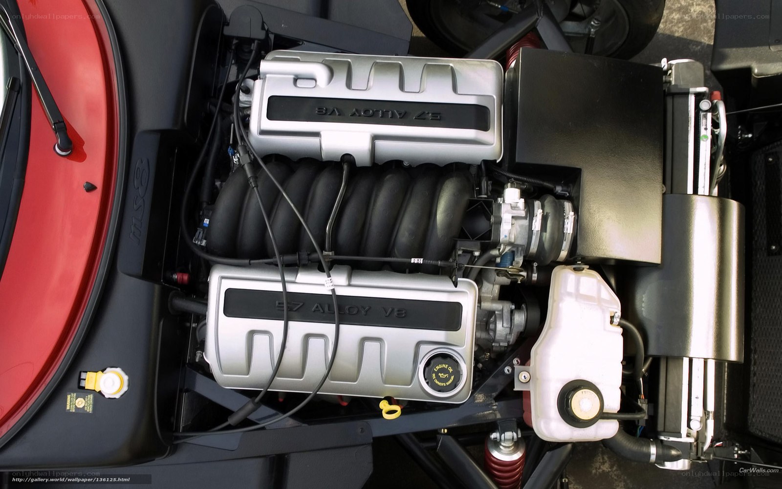 V8 engine in a red car