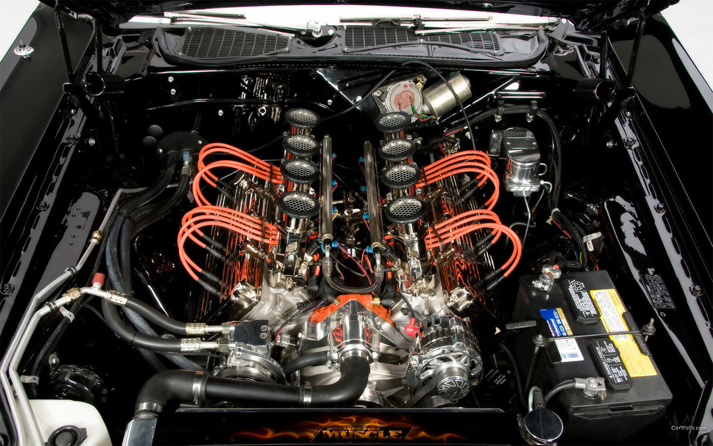 V8 engine in car hood