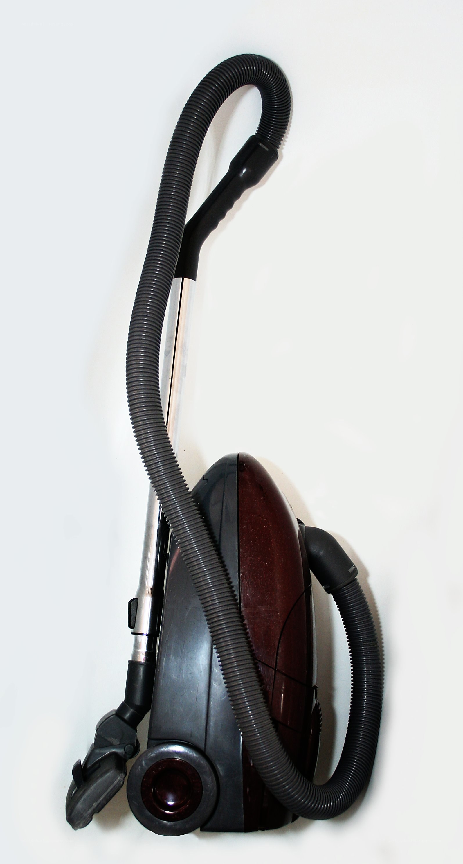 vacuum cleaner with hose