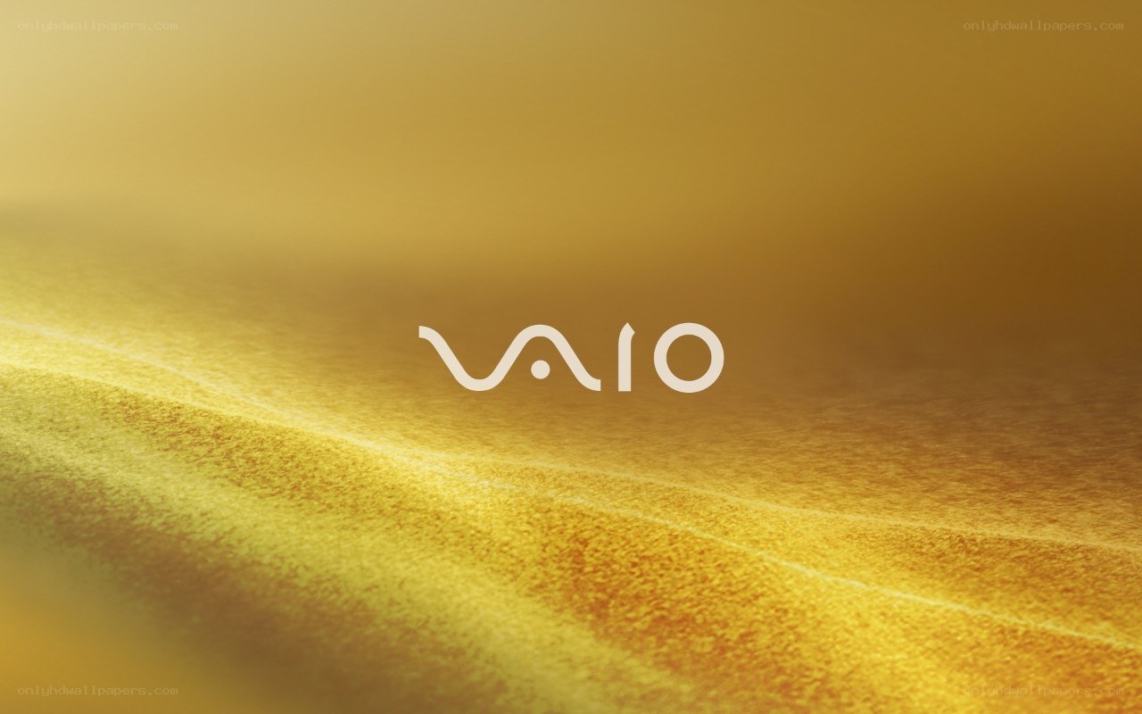 VAIO logo on golden background