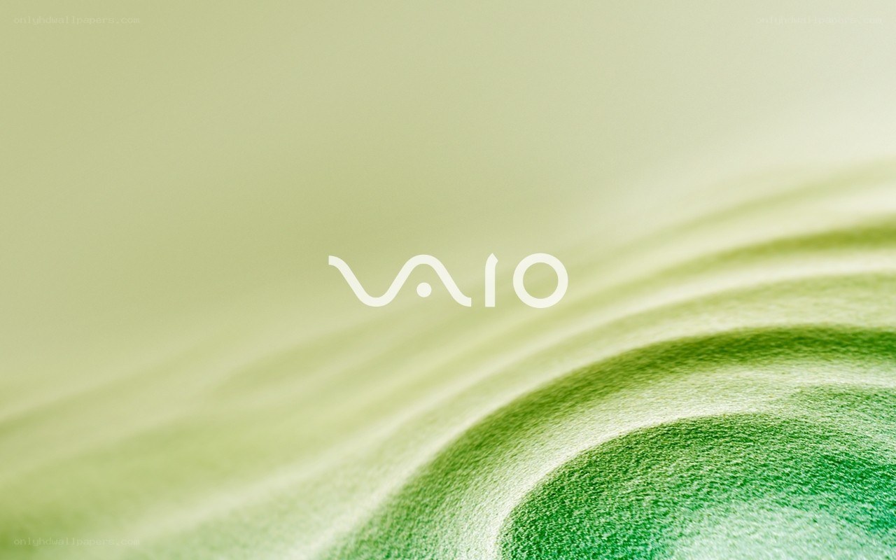 VAIO logo on green background